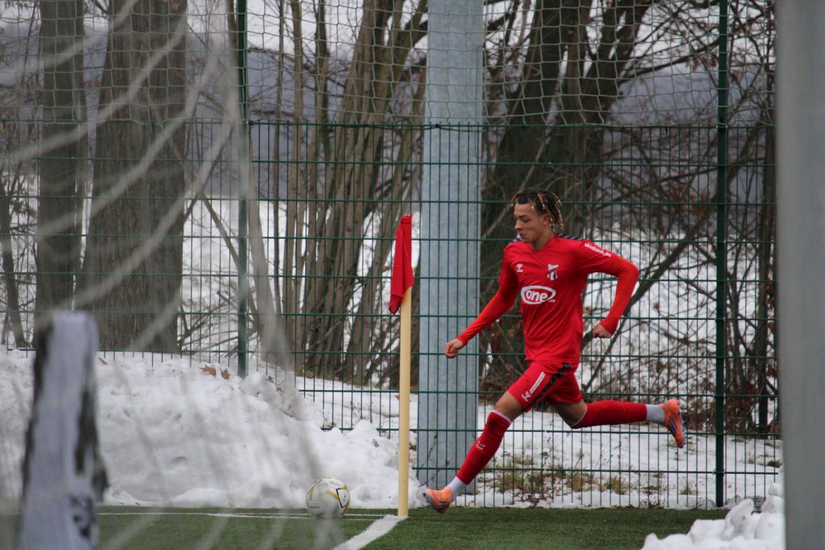 Beschreibung des Bildes